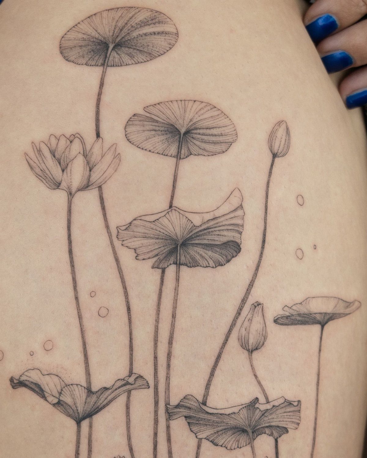 Fine line black and grey tattoo of water lilies and lily pads on skin.